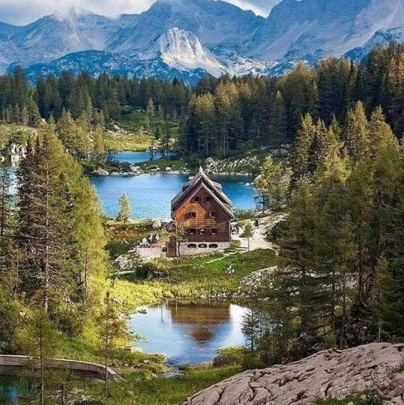 Meet your Posher, Stephanie - Picture 1 of 1